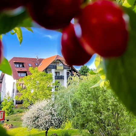 Gasthaus Hirschenstube & Gaestehaus Gehri 발드키르히 외부 사진