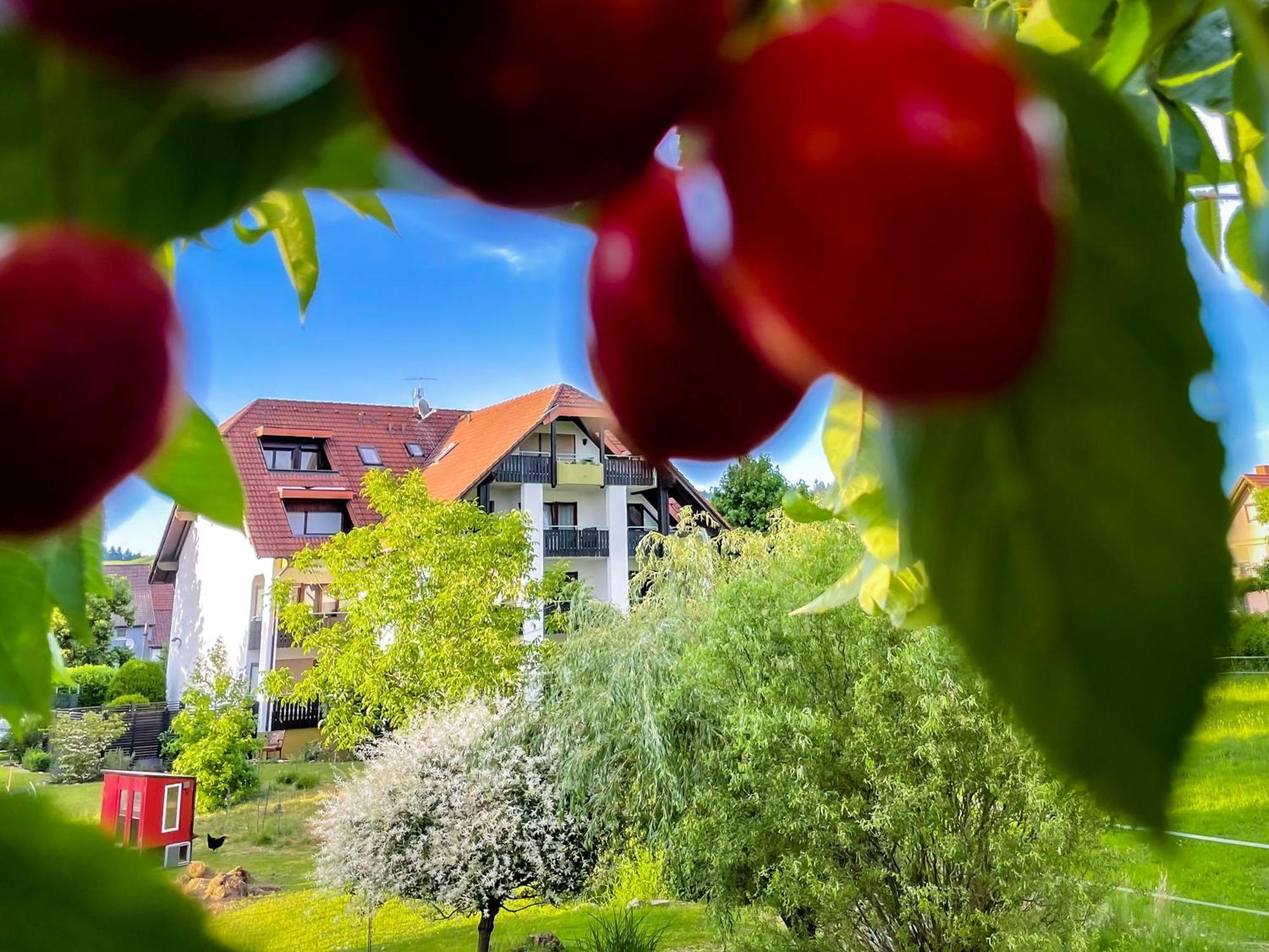 Gasthaus Hirschenstube & Gaestehaus Gehri 발드키르히 외부 사진